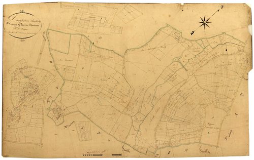 Dampierre-sous-Bouhy, cadastre ancien : plan parcellaire de la section G dite de Dominon