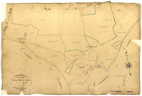 Decize, cadastre ancien : plan parcellaire de la section D dite de Saulx, feuille 3