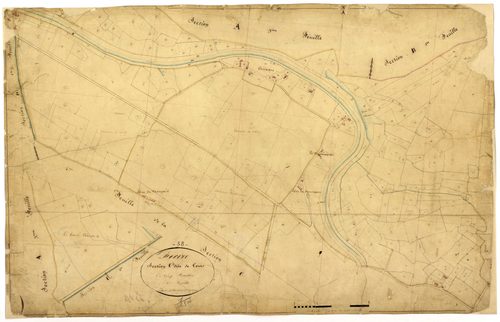 Decize, cadastre ancien : plan parcellaire de la section C dite de Tort, feuille 5