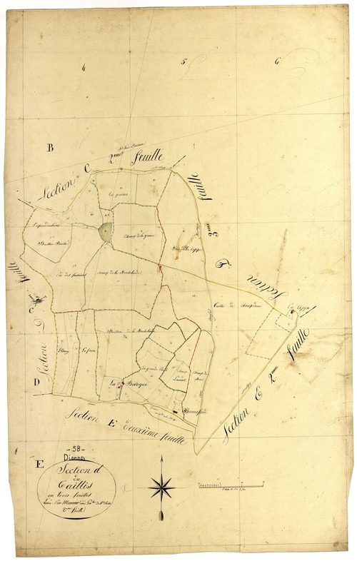 Diennes-Aubigny, cadastre ancien : plan parcellaire de la section D dite du Taillis, feuille 2