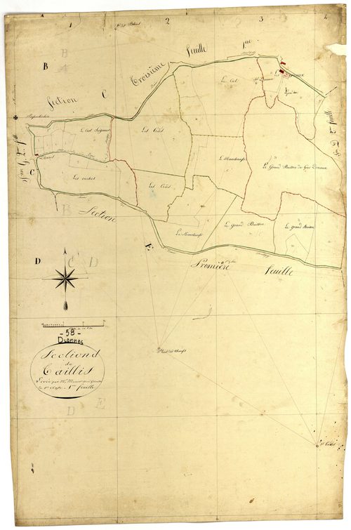 Diennes-Aubigny, cadastre ancien : plan parcellaire de la section D dite du Taillis, feuille 1
