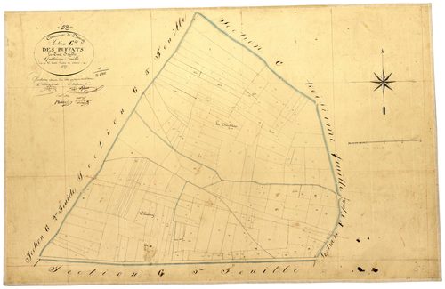 Donzy, cadastre ancien : plan parcellaire de la section G dite des Buffats, feuille 4