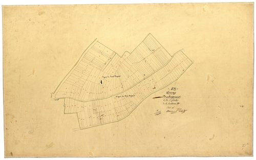 Donzy, cadastre ancien : plan parcellaire de la section D dite de Lépeau, feuille 1, développement