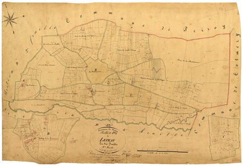 Donzy, cadastre ancien : plan parcellaire de la section D dite de Lépeau, feuille 3