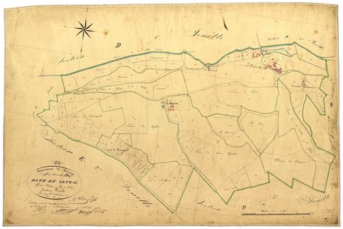 Donzy, cadastre ancien : plan parcellaire de la section D dite de Lépeau, feuille 6