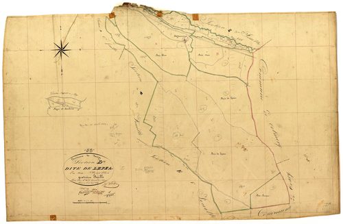 Donzy, cadastre ancien : plan parcellaire de la section D dite de Lépeau, feuille 4