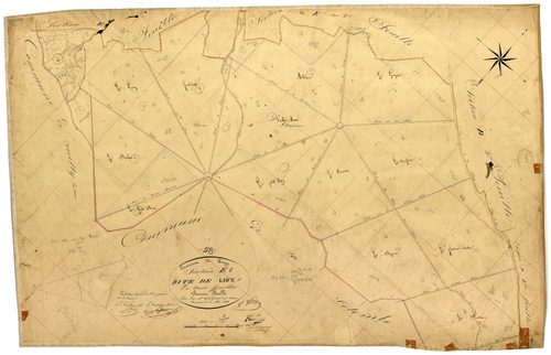 Donzy, cadastre ancien : plan parcellaire de la section E dite de Liot, feuille 1