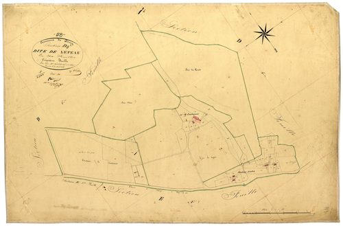Donzy, cadastre ancien : plan parcellaire de la section D dite de Lépeau, feuille 5