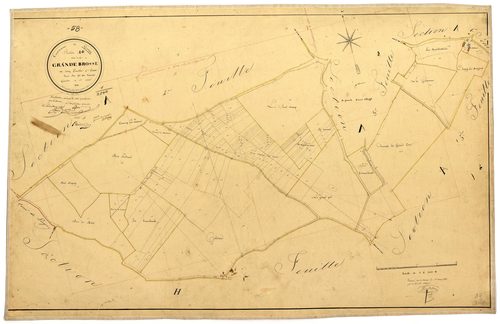 Donzy, cadastre ancien : plan parcellaire de la section A dite de la Grande Brosse, feuille 4