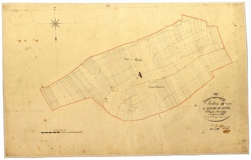 Donzy, cadastre ancien : plan parcellaire de la section H dite de l'Orme Quartier, feuille 2, développement