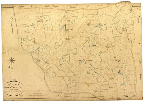 Dornes, cadastre ancien : plan parcellaire de la section C dite de Ray