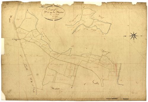 Druy-Parigny, cadastre ancien : plan parcellaire de la section C dite de Mortier, feuille 2