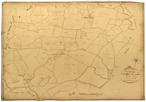 Druy-Parigny, cadastre ancien : plan parcellaire de la section D dite des Vallées, feuille 3