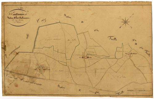 Entrains-sur-Nohain, cadastre ancien : plan parcellaire de la section D dite de Chalumeau, feuille 5