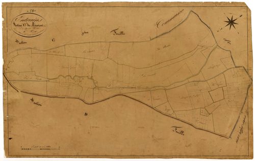 Entrains-sur-Nohain, cadastre ancien : plan parcellaire de la section C dite du Minerai, feuille 4