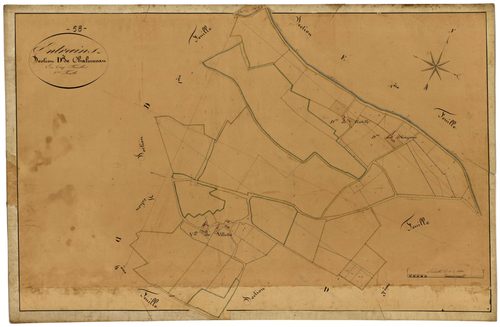 Entrains-sur-Nohain, cadastre ancien : plan parcellaire de la section D dite de Chalumeau, feuille 2