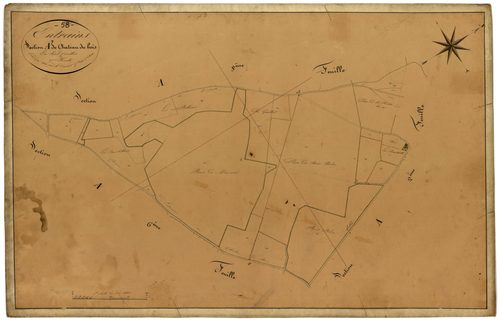 Entrains-sur-Nohain, cadastre ancien : plan parcellaire de la section A dite du Château du Bois, feuille 7