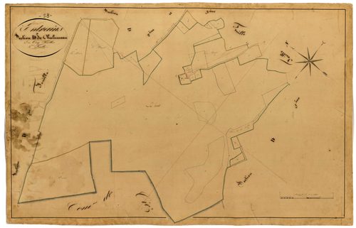 Entrains-sur-Nohain, cadastre ancien : plan parcellaire de la section D dite de Chalumeau, feuille 4