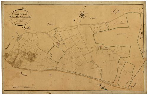 Entrains-sur-Nohain, cadastre ancien : plan parcellaire de la section A dite du Château du Bois, feuille 6
