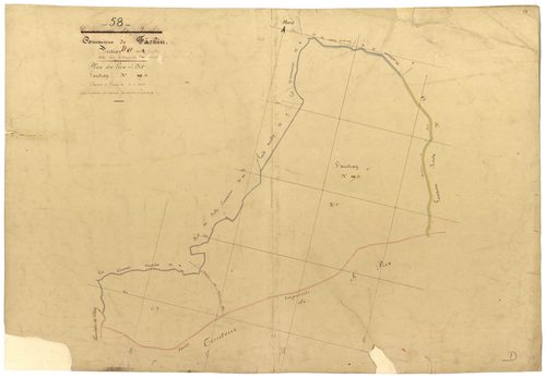 Fâchin, cadastre ancien : plan parcellaire de la section D dite des Trinquets
