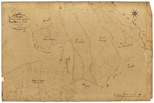 Fâchin, cadastre ancien : plan parcellaire de la section C dite de Fâchin, feuille 3