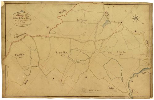 Fléty, cadastre ancien : plan parcellaire de la section A dite de Tourny, feuille 1