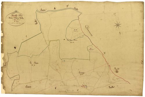 Fléty, cadastre ancien : plan parcellaire de la section C dite de Tazilly, feuille 3