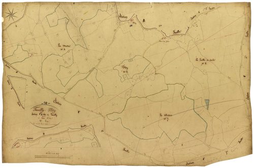 Fléty, cadastre ancien : plan parcellaire de la section C dite de Tazilly, feuille 2