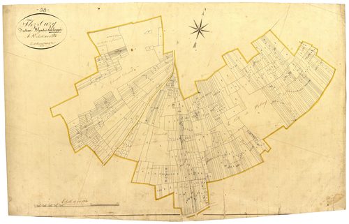 Flez-Cuzy, cadastre ancien : plan parcellaire de la section B dite de Cuzy, feuille 1, développement