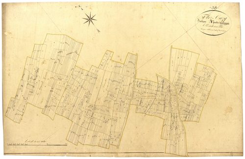 Flez-Cuzy, cadastre ancien : plan parcellaire de la section A dite des Grands Corbiers, développement