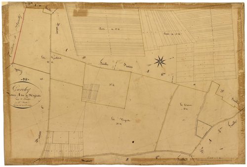 Garchy, cadastre ancien : plan parcellaire de la section A dite de Mézières, feuille 5