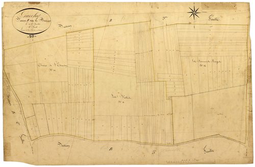 Garchy, cadastre ancien : plan parcellaire de la section B dite de Boisrond, feuille 4