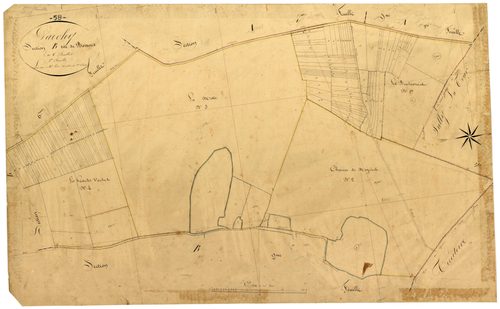 Garchy, cadastre ancien : plan parcellaire de la section B dite de Boisrond, feuille 1