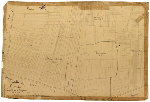 Garchy, cadastre ancien : plan parcellaire de la section A dite de Mézières, feuille 8