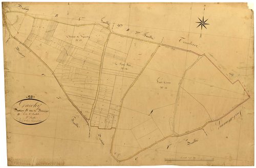 Garchy, cadastre ancien : plan parcellaire de la section B dite de Boisrond, feuille 5