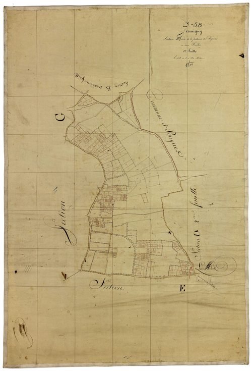 Germigny-sur-Loire, cadastre ancien : plan parcellaire de la section D dite de la Fontaine des Pagnons, feuille 1