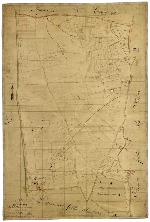 Germigny-sur-Loire, cadastre ancien : plan parcellaire de la section A dite de Montalin, feuille 1