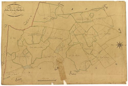 Gien-sur-Cure, cadastre ancien : plan parcellaire de la section A dite de la Couppe Lyonnet, feuille 1
