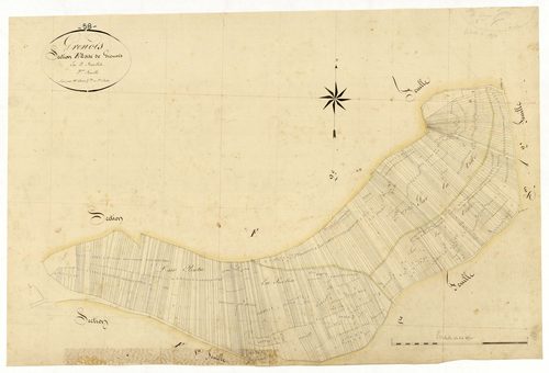 Grenois, cadastre ancien : plan parcellaire de la section E dite de Grenois, feuille 2
