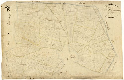 Grenois, cadastre ancien : plan parcellaire de la section C dite de Campagne