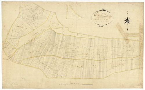 Grenois, cadastre ancien : plan parcellaire de la section B dite des Vignes de la Forêt, développement