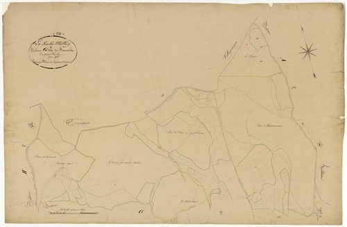 Larochemillay, cadastre ancien : plan parcellaire de la section G dite du Renault, feuille 2