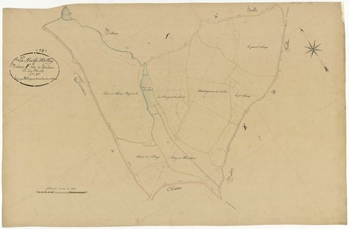 Larochemillay, cadastre ancien : plan parcellaire de la section F dite de Touleur, feuille 5