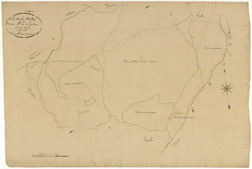 Larochemillay, cadastre ancien : plan parcellaire de la section F dite de Touleur, feuille 4