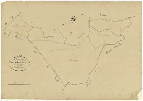 Limanton, cadastre ancien : plan parcellaire de la section G dite de Montembert, feuille 4