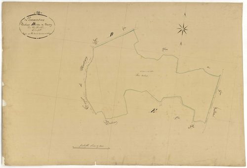 Limanton, cadastre ancien : plan parcellaire de la section D dite de Bardy, feuille 6