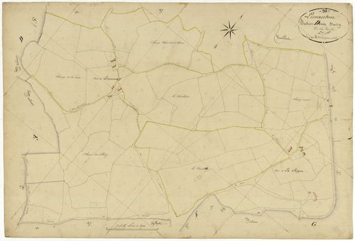 Limanton, cadastre ancien : plan parcellaire de la section D dite de Bardy, feuille 4