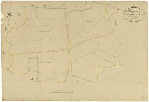 Limanton, cadastre ancien : plan parcellaire de la section D dite de Bardy, feuille 2