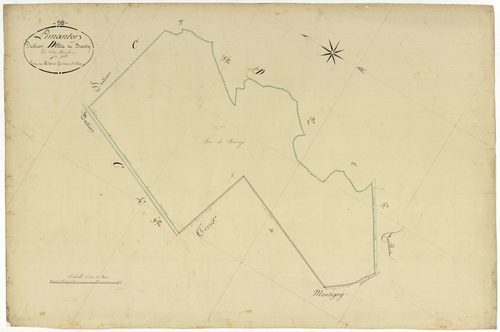 Limanton, cadastre ancien : plan parcellaire de la section D dite de Bardy, feuille 1