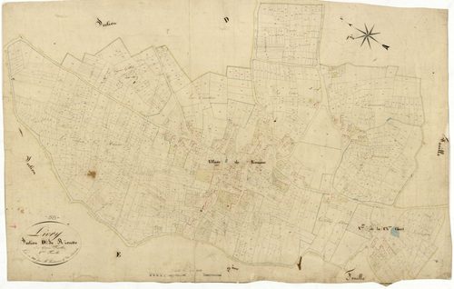 Livry, cadastre ancien : plan parcellaire de la section D dite de Riousse, feuille 2